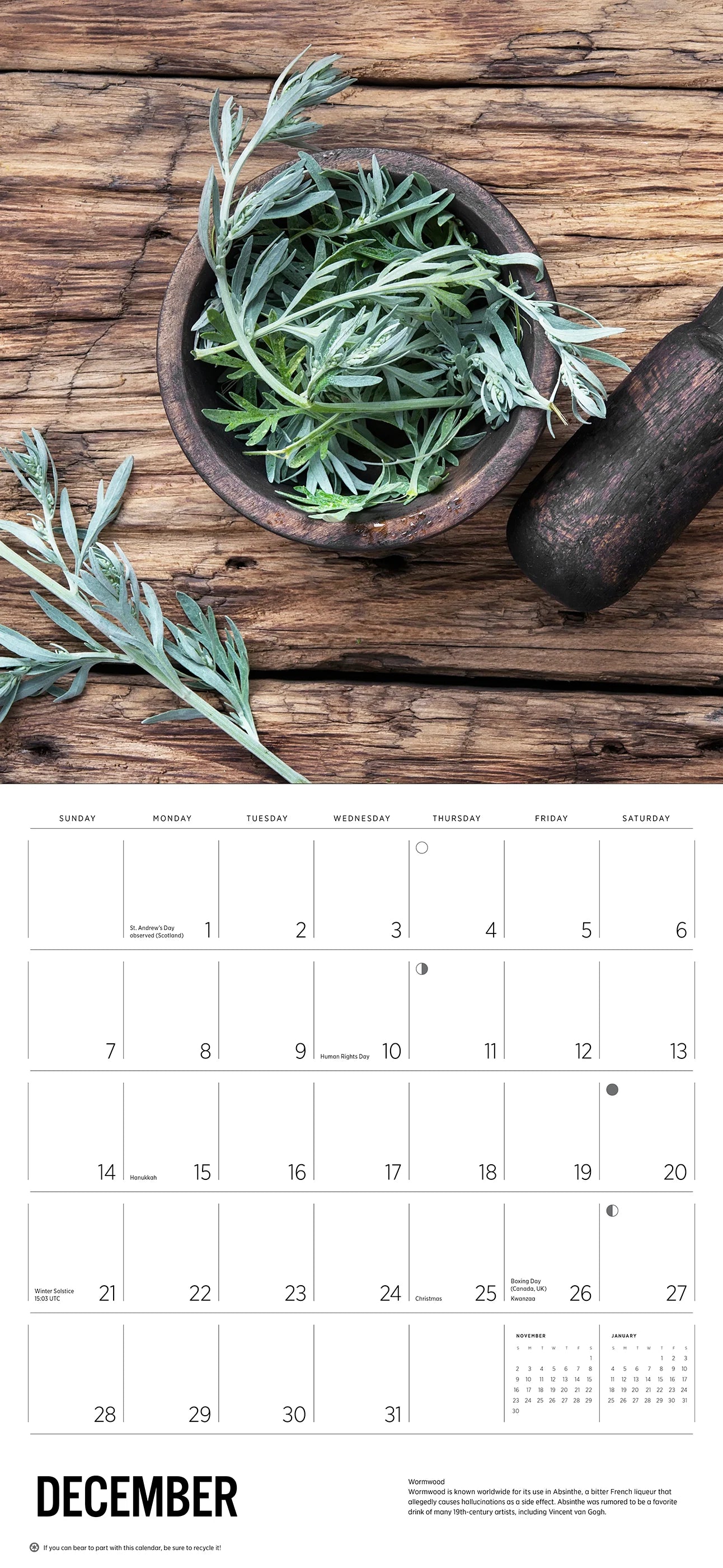 Herbs 2025 Wall Calendar