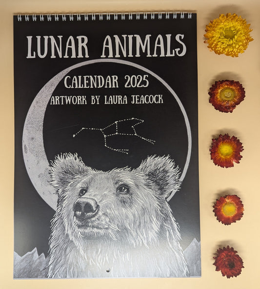 'Lunar Calendar' by Laura Jeacock