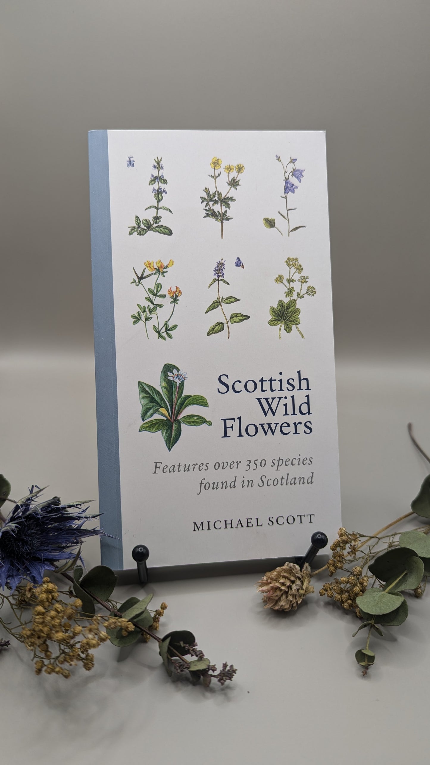 Scottish Wild Flowers